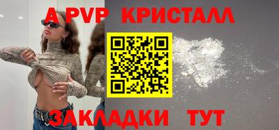 индика Тверь