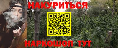 индика Тверь