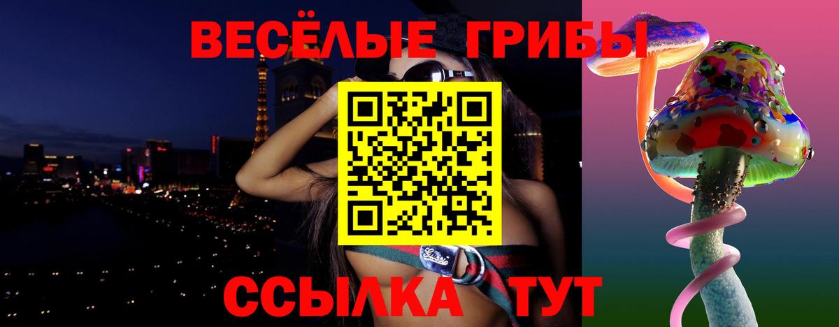 Миллерово  Псилоцибиновые грибы GOLDEN TEACHER  Вход с VPN  Псилоцибиновые грибы MAGIC MUSHROOMS 